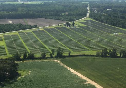 MIT-Solar-Farm.jpg 