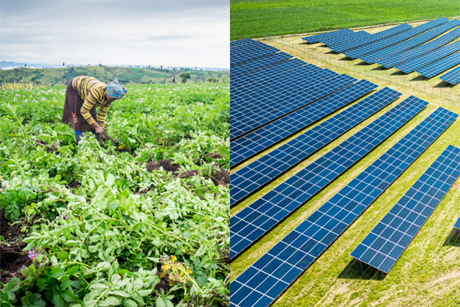 A split image showing an African woman farming in a lush field on the left and a large solar panel farm on the right.A split image showing an African woman farming in a lush field on the left and a large solar panel farm on the right