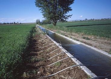 Agricultural irrigation