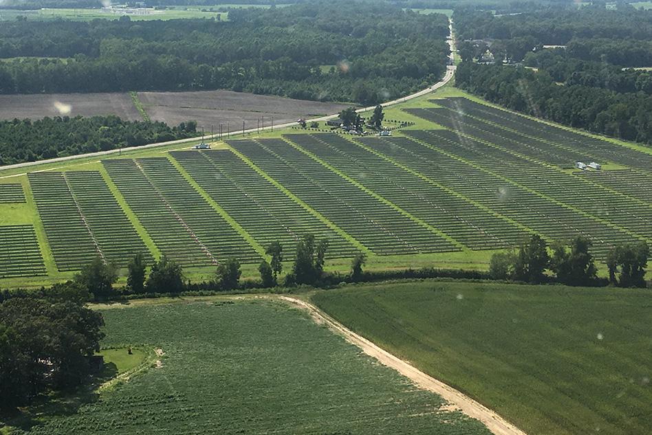 MIT-Solar-Farm.jpg 